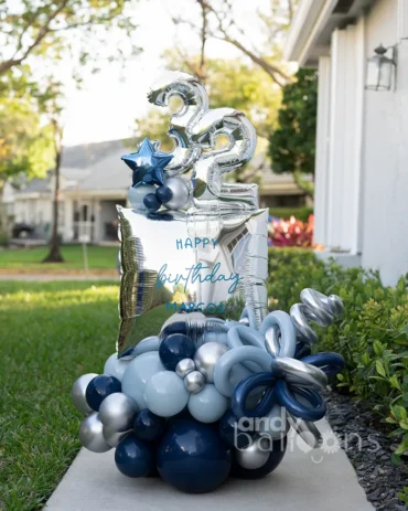 Birthday Wish Surprise